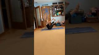 Y Yoga Cl