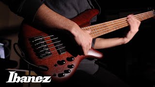 Ibanez SR500 Series Electric Bass