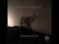 Harvey Mckay - Sargon's Birth (Frankyeffe Remix)