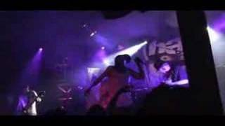 Watch Hed PE Beware Do We Go video