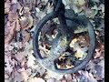 garett fisher minelab