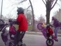 CHICAGO MOTORCYCLE WHEELIES MOOSIEMAN FREESTYLE MONKEY TACTICS PAUL H