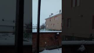 Bor Në Ferizaj