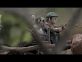 A Imagem Que Falta - Trailer Oficial - 14 de Fevereiro nos Cinemas