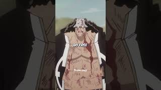 Akainu Took Off Part Of Kumas Face