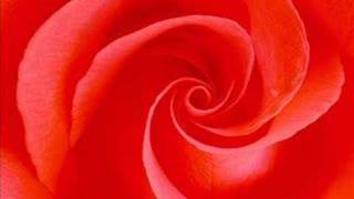 15.04.2008 Doğum Günün Kutlu Olsun...orhan...özür Dilerim