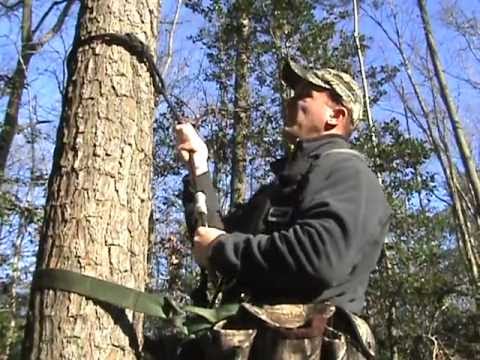 Tree saddle rope hook up