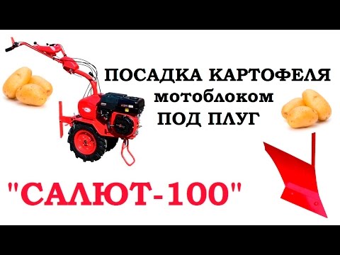 Оборудование посадка картофеля Оборудование посадка картофеля