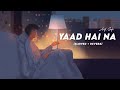 Yaad Hai Na Slowed Reverb | Yaad Hai Na Lofi | Arijit Singh
