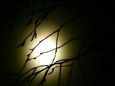 Beethoven: Moonlight Sonata arranged for String Quartet