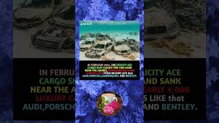 In February 2022, The Felicity Ace Cargo Ship Caught Fire And Sank Near The Azores, Losing Nearly