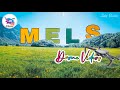 Mels Switzerland || Swiss Diaries || Mels || Chur || St Gallen || Drone Video