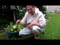 gardening