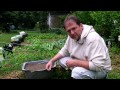 gardening