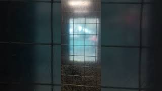 Another 2000 Kone Lift At Leeds Railway Station