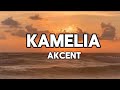 Akcent - Kamelia (lyrics)