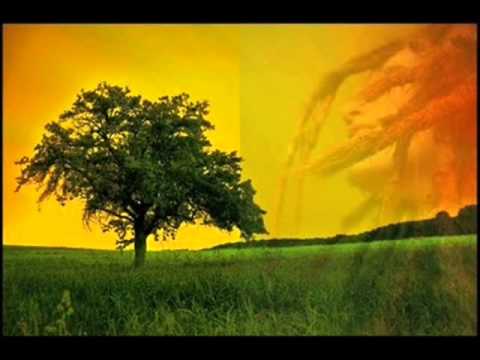 Rebelution - Safe and Sound -