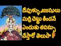 Significance of Marri Chettu Puja | Banyan Tree Significance | Ayushmanbhava Creations