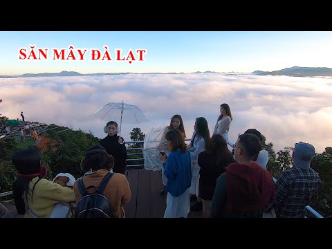SĂN MÂY ĐÀ LẠT | Tập Cuối - Sốc với biển Mây như phim Tây Du Kí ở đồi chè Cầu Đất Đà Lạt