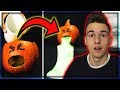 A LEGMENŐBB HALLOWEENI DEKORÁCIÓK!