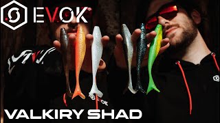 Présentation Du Valkiry Shad - Evok