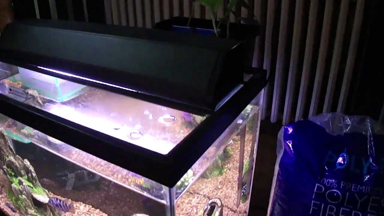 Build my own aquarium Building your own fish tank can give you a sense of accomplishment on several different levels. Not only is it a gratifying experience, but you can make a fish tank that is customized to fit a specific area. While you can hypothetically build a fish tank of any shape, these instructions are for a square or rectangular aquarium.