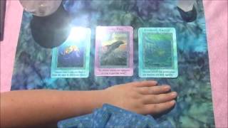 Weekly Psychic Reading July 29 August 4 2013 With Erin Lee Weekly Psychic Reading July 29 August 4 2013 With Erin Lee