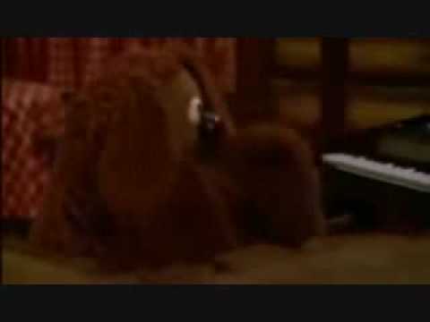 Kermit Rowlf