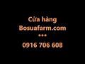 Test độ kết dính của bạt sử dụng keo dán bạt chuyên dụng