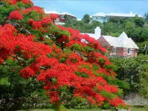 Tags: bermuda travel tourism attractions sights islands Tags: bermuda travel tourism attractions sights islands