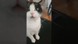 FcWI9b0XnEs Video Image