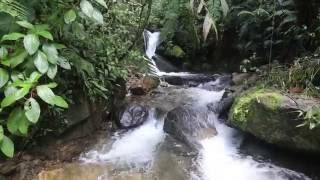 Sendero Culebra Boquete - Panama
