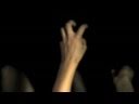 Make A Tiger Video