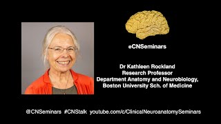 #CNStalk - Kathleen Rockland