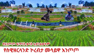 Addis Ababa 2030 Is Already Here Addis Ababas Wildest Transformation Is Happening Right Now4K
