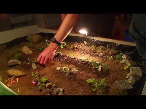 Gambar hotwheel rally Gambar hotwheel rally