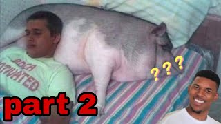 Internet as an art 2 | Funny internet pictures