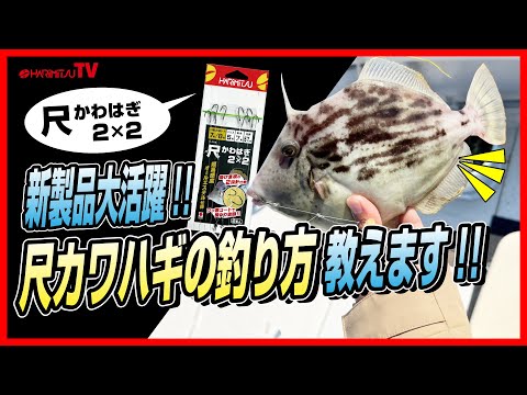 【新製品大活躍!!】尺カワハギの釣り方教えます!!