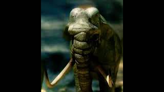 Journey Of The 10.000.00 Million B.c The Columbian Mammoth Roar