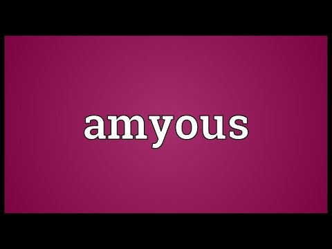 Header of Amyous
