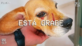 La Herida De Mi Perro Está Peor De Lo Que Pensábamos!!! 🐶😰