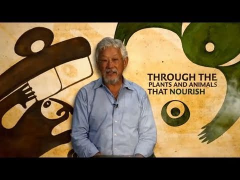 The Declaration of Interdependence A Pledge to Planet Earth by David Suzuki