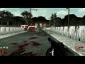 ZOMBIE OGRE (Part 2) ★ Call of Duty Zombies (Zombie Games)