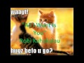 All I Want Is You- Robi Kahakalau