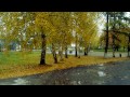 Сергей Дезорцев-Осенний дождь