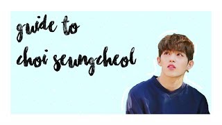 (un)Helpful Guide to SEVENTEEN: Choi Seungcheol