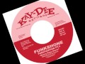 Funkshone - Purification Pt.3 (Kenny Dope Remix)
