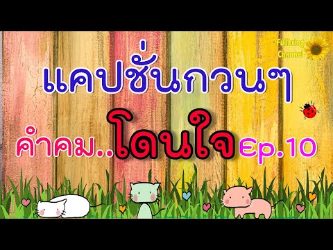 แคปชั่นกวนๆ คำคมโดนใจ Ep10