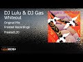 DJ Lulu & DJ Gas - Whiteout (Original Mix)