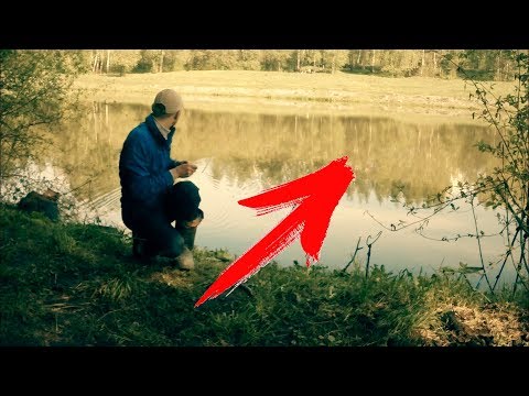ловля карася дедовский метод ловля карася дедовский метод
